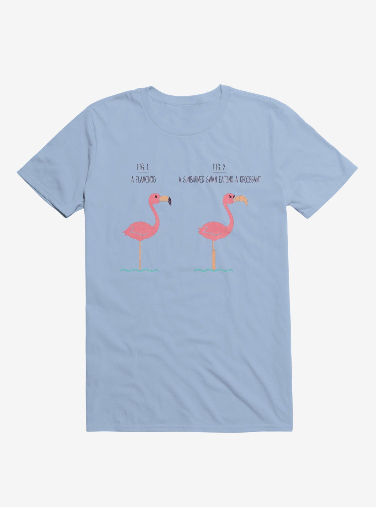 Know Your Birds A Flamingo Or Sunburned Swan Light Blue T Shirt T Shirt Trending US Daily Wear