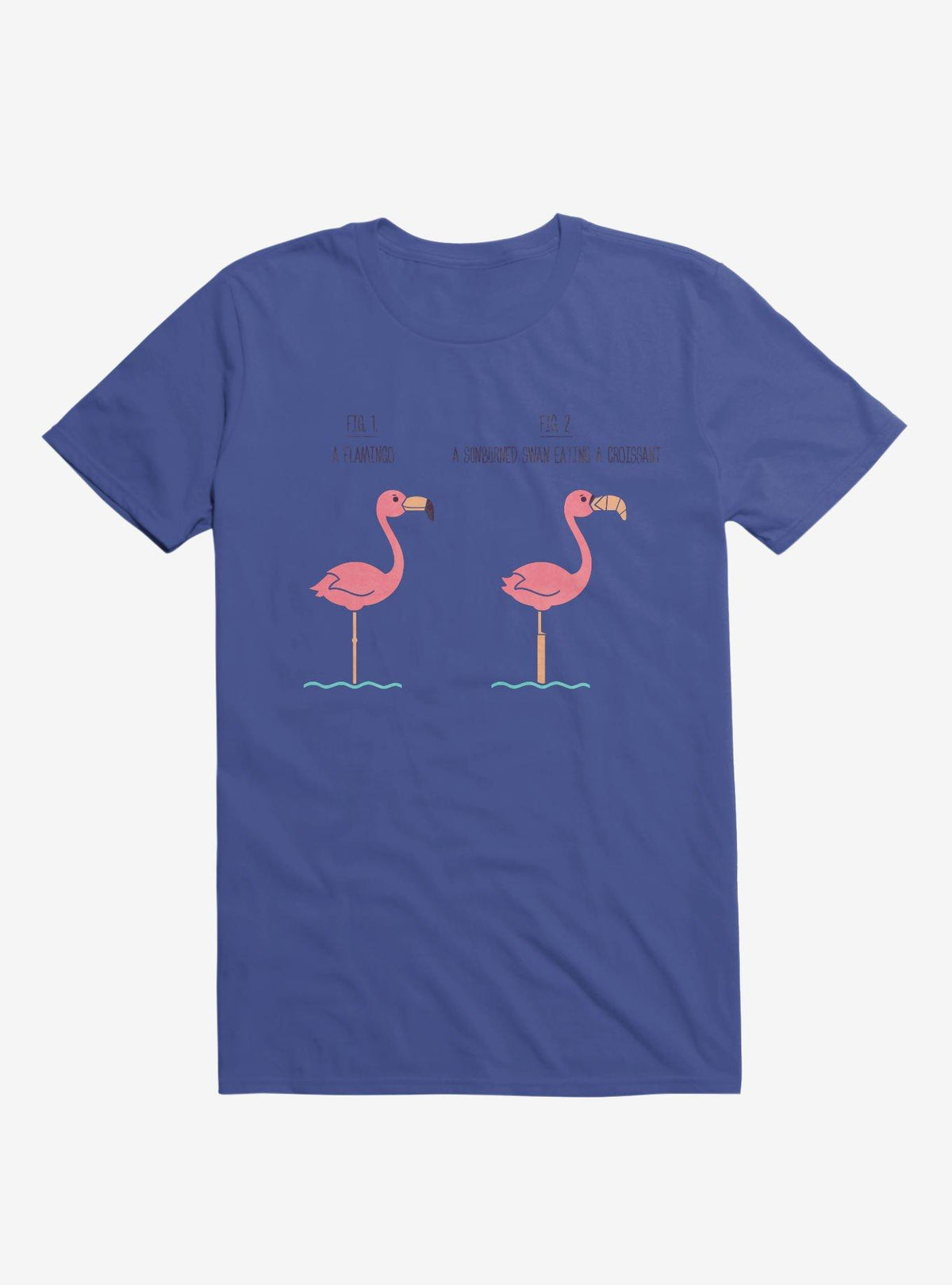 Know Your Birds A Flamingo Or Sunburned Swan Royal Blue T Shirt T Shirt Comfort Fit Humor Gift