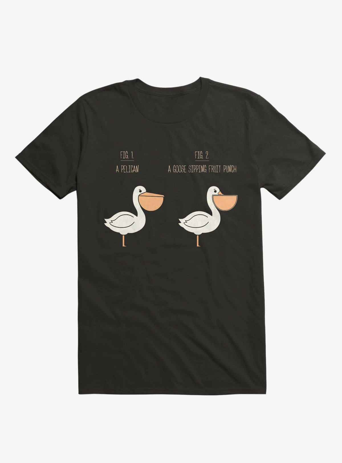 Know Your Birds A Pelican Or A Goose Black T Shirt T Shirt Streetwear Style Humor Gift