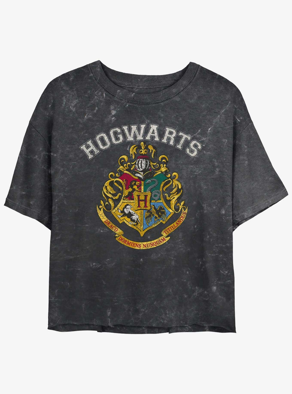 wizard school Vintage Logo Mineral Wash Girls Crop T-Shirt