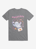 wizard school Hedwig Letter From Hogwarts T-Shirt