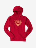 DC Comics warrior hero Logo Hoodie 2