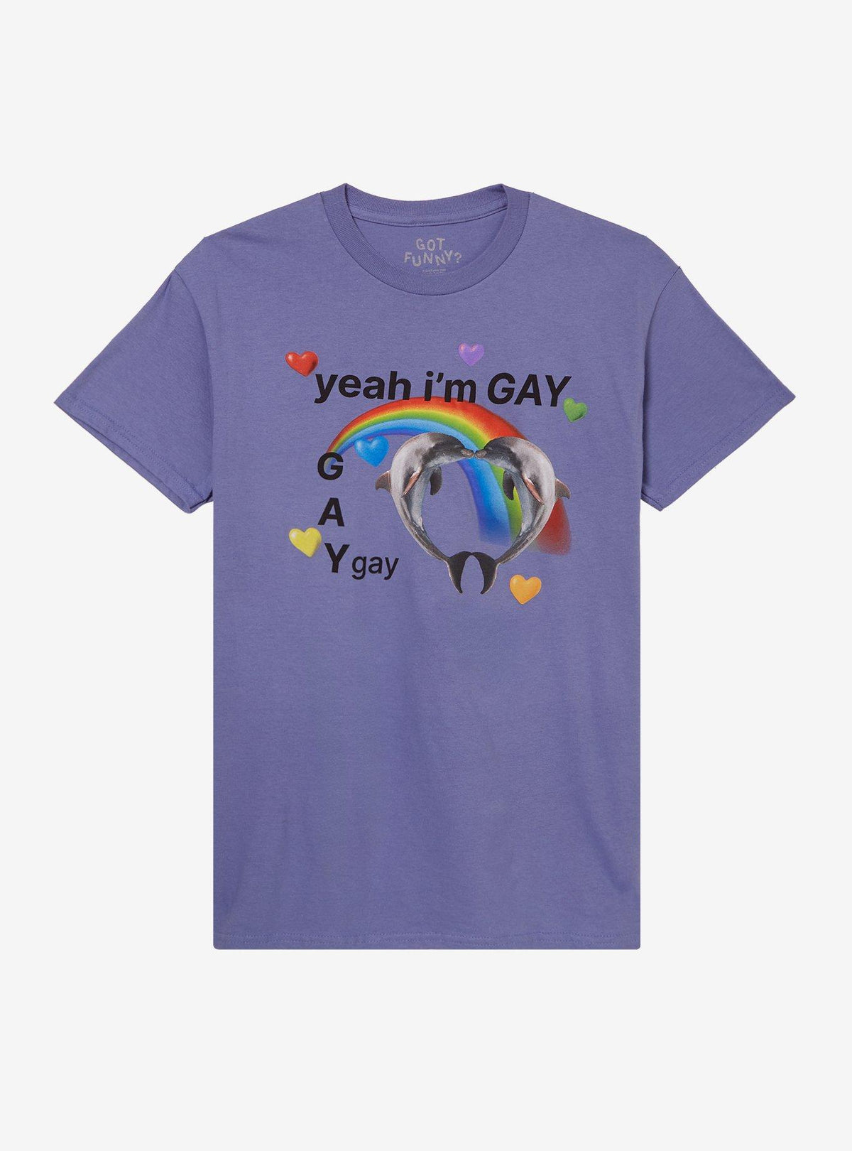 Dolphins Yeah I'm Gay T-Shirt By Got Funny
