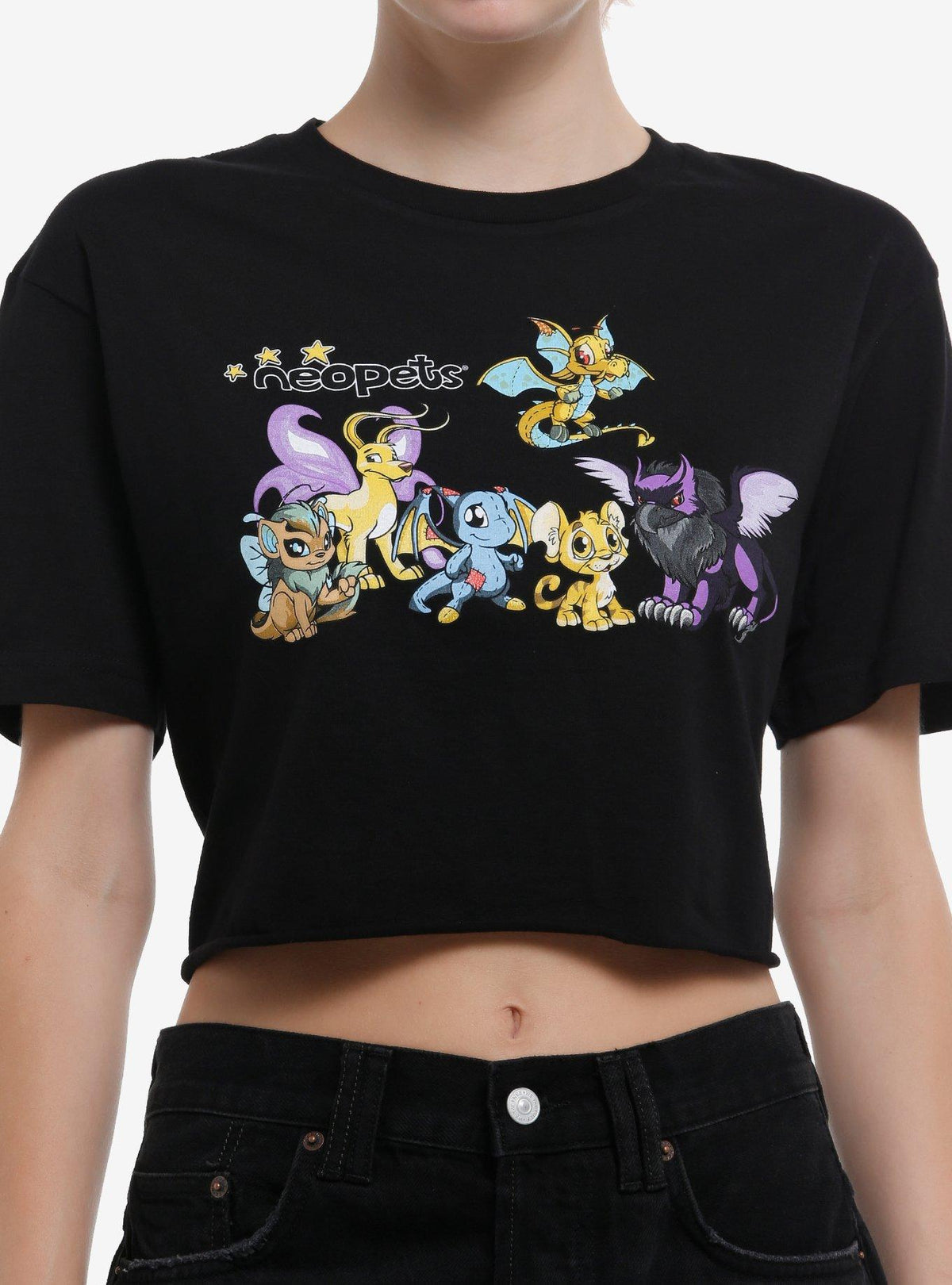 Neopets Group Girls Crop T-Shirt
