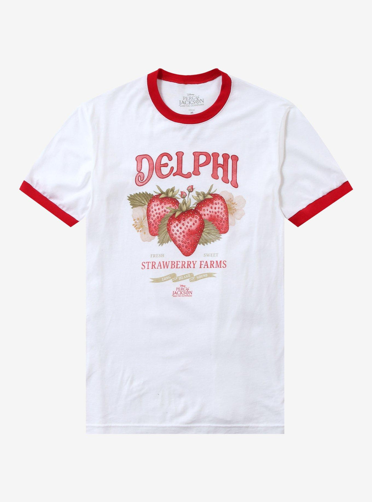 Percy Jackson And The Olympians Delphi Strawberry Farms Girls Ringer T-Shirt