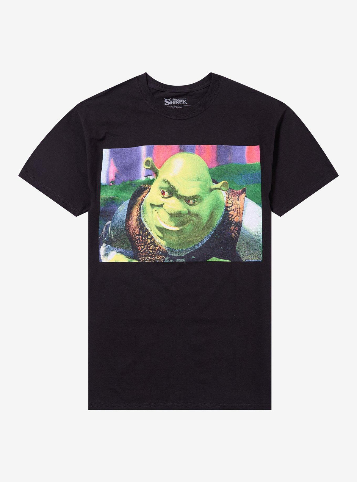 Shrek Smirk Panel T-Shirt | Premium Unisex T-Shirt, Trending Graphic Tee