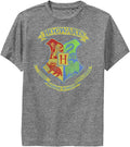 Kids Deathly Hallows Neon Crest Youth Pullover Hoodie Hoodie Minimal Style