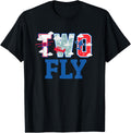 Two Fly Birthday Party Decorations for Boy Airplane 2nd Birthday Design 118